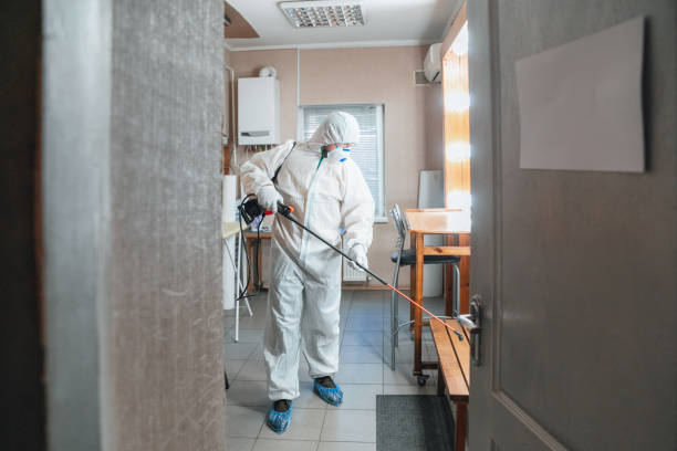 Mold Documentation for Insurance Claims in Brookside, NJ